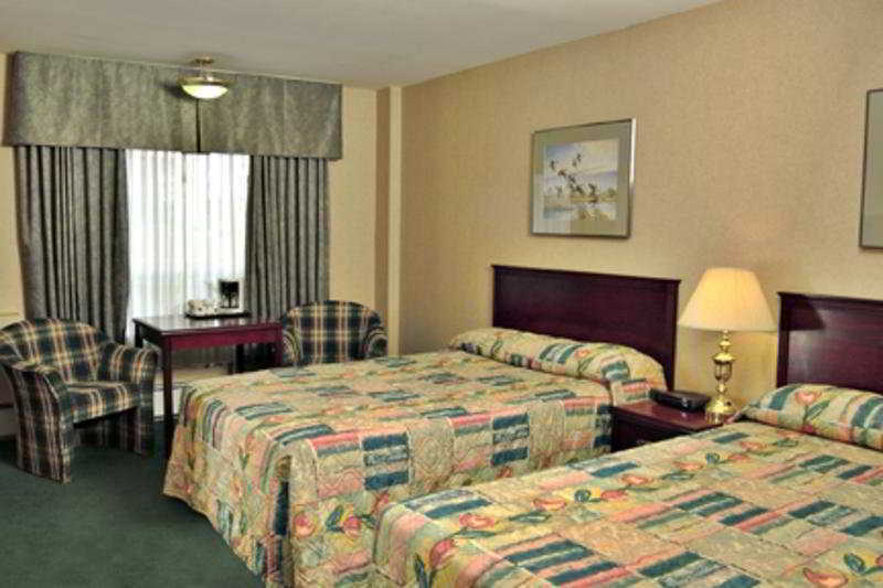 Sandman Hotel Grande Prairie Rum bild